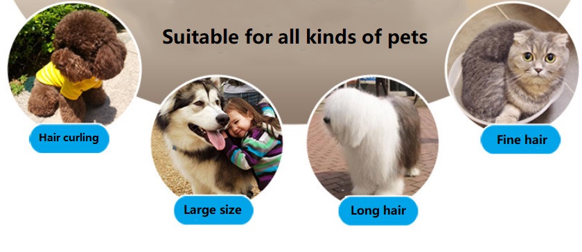 A60 usb cortador sem fio para animais de estimação