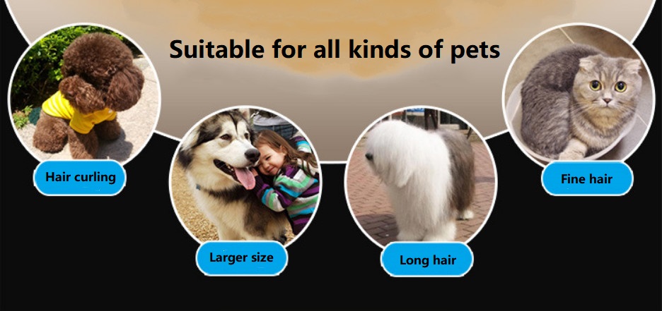 Linha P60 Máquina de cortar animais sem fio