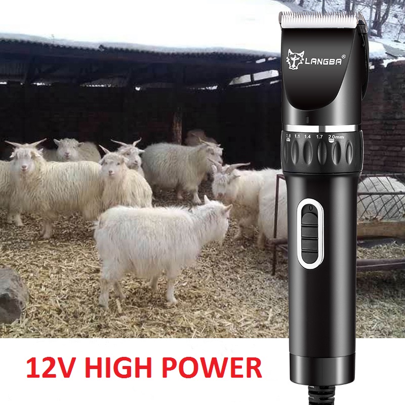 Tosquiadeira para animais de estimação com fio T45